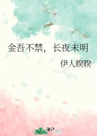 金吾不禁，长夜未明